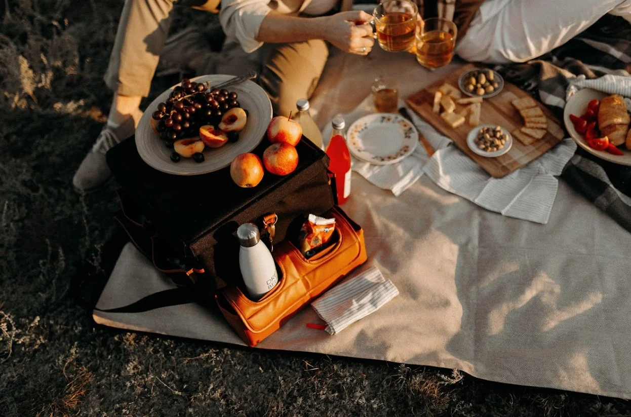 portable picnic blanket