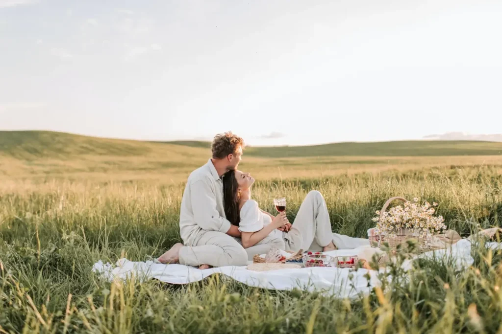 luxury picnic blanket